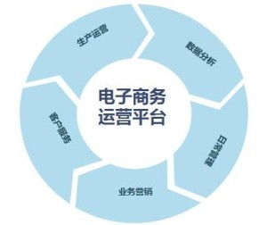 電子商務(wù)技能與培訓(xùn) 數(shù)字時(shí)代的商業(yè)新引擎